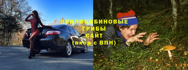 бутират Арсеньев