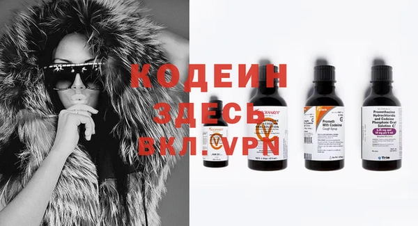 гидра Аркадак