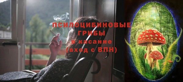 винт Армянск
